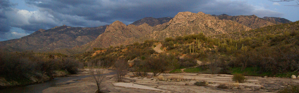 Catalina State Park, Arizona
